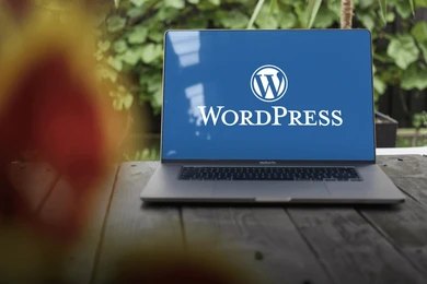 what is wordpress